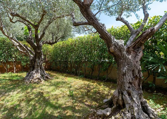 Rosini *